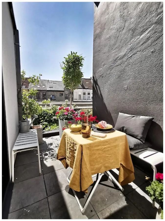 Studio Spiegelhof Gante 0*,  Bélgica