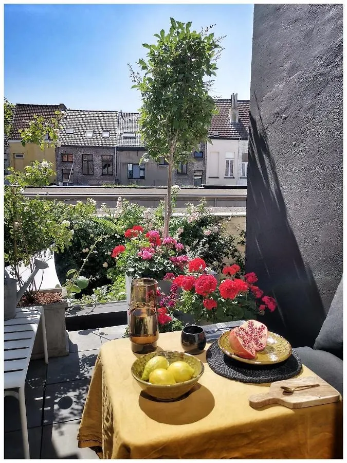 Studio Spiegelhof Ghent Belgium